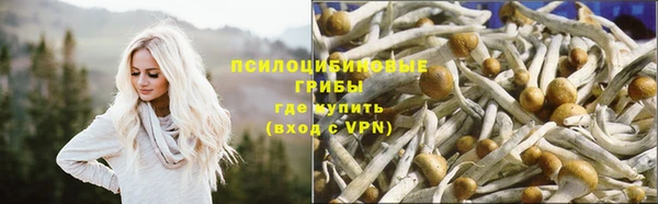 ГАЛЛЮЦИНОГЕННЫЕ ГРИБЫ Абинск