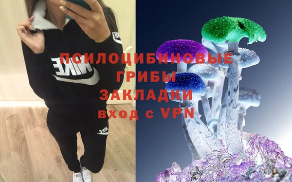 ГАЛЛЮЦИНОГЕННЫЕ ГРИБЫ Абинск