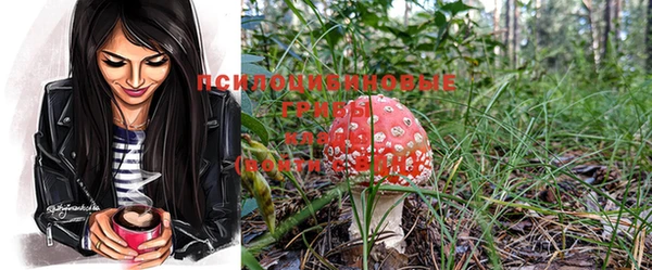 не бодяженный Абдулино